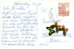 edlitz, gegen hochegg, schneeberg