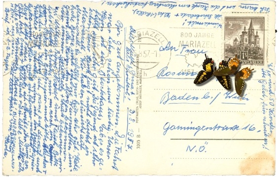 mariazell, mit hohen student