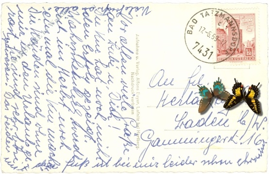 bad tatzmannsdorf, haydn park, hotel krone