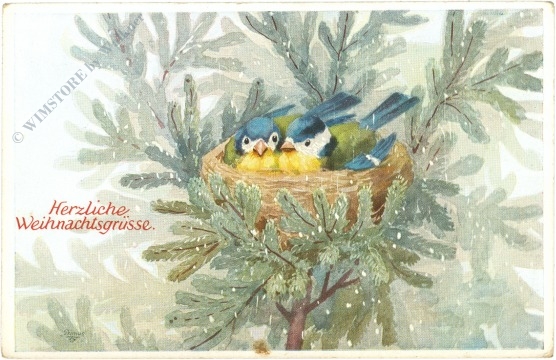 weihnachten, vogelnest in den zweigen