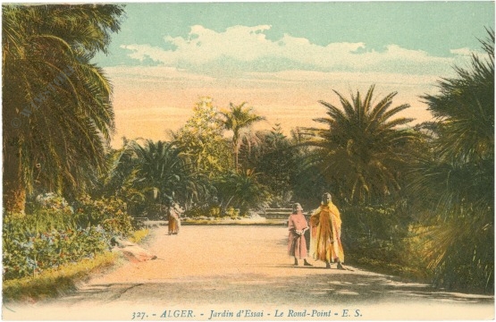 algier, ansicht