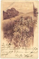wiesenlandschaft
