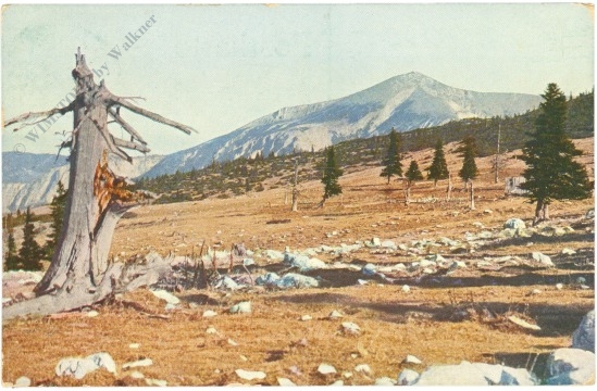 rax, raxplateau, blick gegen den schneeberg