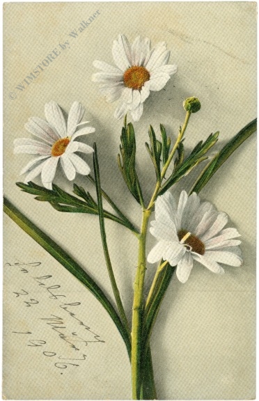 margerithen