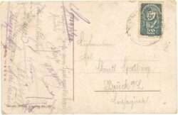 zatzka, hans: keine rose ohne dornen