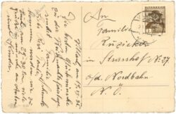 weihnachten, zweige mit kerzen und Äpfeln