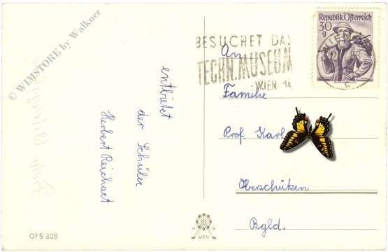 ostern, palmkätzchen