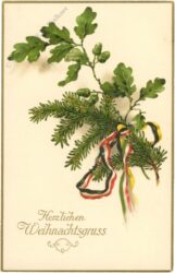 weihnachten: zweige weihnachten: zweige