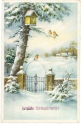 weihnachten, vögel im winter