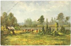 wiesenlandschaft