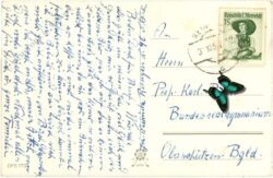neujahr, tisch mit sekt und glücksbringern