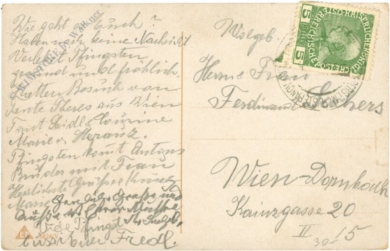 pfingsten, schwäne am see