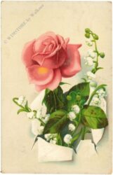 rose und maiglöckchen