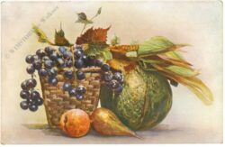 korb mit obst