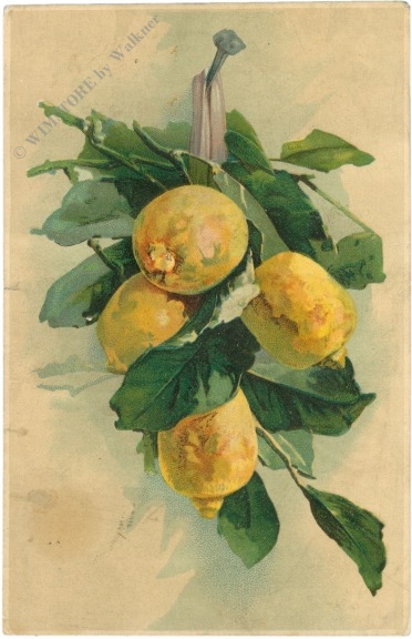 zitronenzweig
