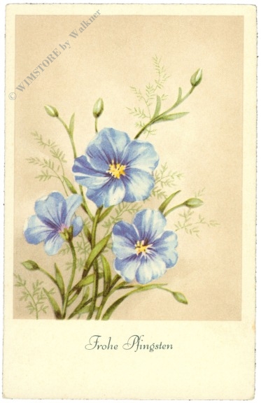 pfingsten, blaue blumen pfingsten, blaue blumen