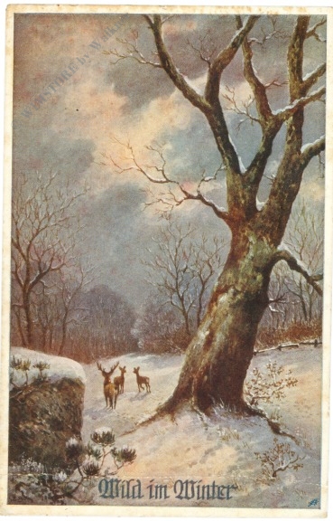 wild im winter