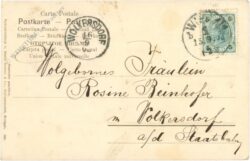 edeldiestel