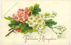 pfingsten, blühende zweige