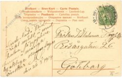 mädchen mit puppe im wald schickt glückwünsche