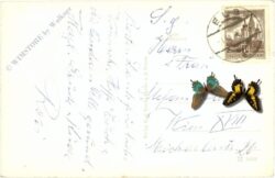 nöhagen, burg hartenstein