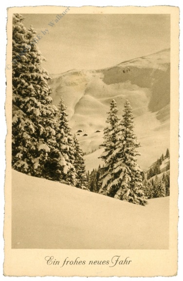 neujahr, verschneiter wald
