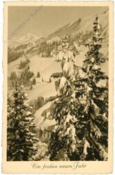 neujahr, verschneiter wald