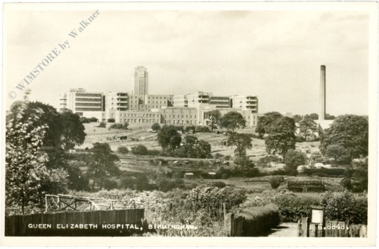 birmingham, queen elisabeth hospital