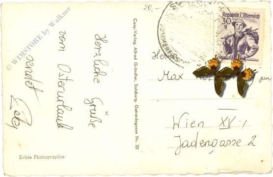 gmunden am traunsee, schloß ort im see und forstschule