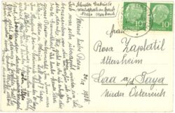 weihnachten, tannenzweige und zapfen