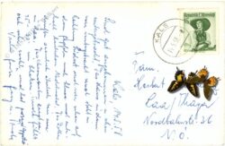 kals, ortsansicht