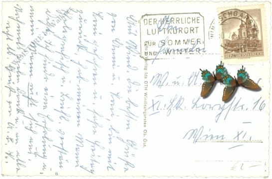 windischgarsten, mit dem pyhrgas