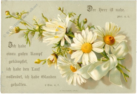 margarithen mit vers