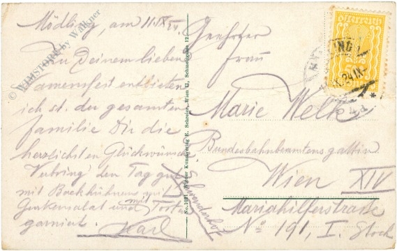 mödling, breite föhre am weg zum anninger