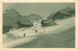 elm, winter, blick gegen hausstock