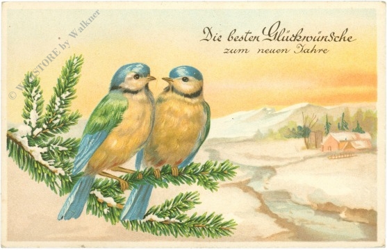 neujahr, zwei meisen auf einem ast
