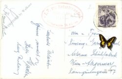 spittal an der drau, portal am schloss portia