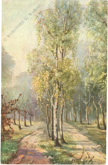 hallstatt, multiansicht hallstatt, multiansicht