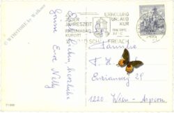 bad schallerbach, multiansicht