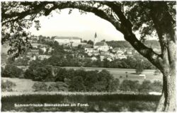 steinakirchen am forst, ortsansicht