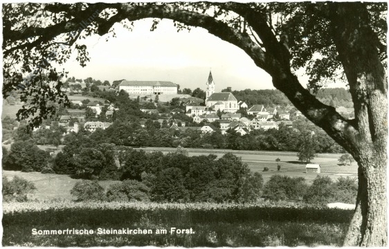 steinakirchen am forst, ortsansicht