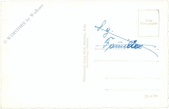 steinakirchen am forst, ortsansicht