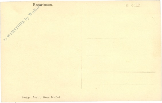 seewiesen, ortsansicht