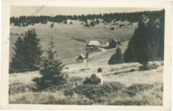 trattenbach, kranichberger schwaig