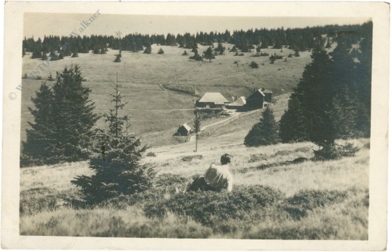 trattenbach, kranichberger schwaig