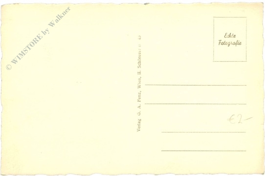 grein an der donau, ortsansicht