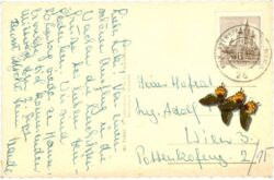 marbach an der donau, und wallfahrtsort maria taferl