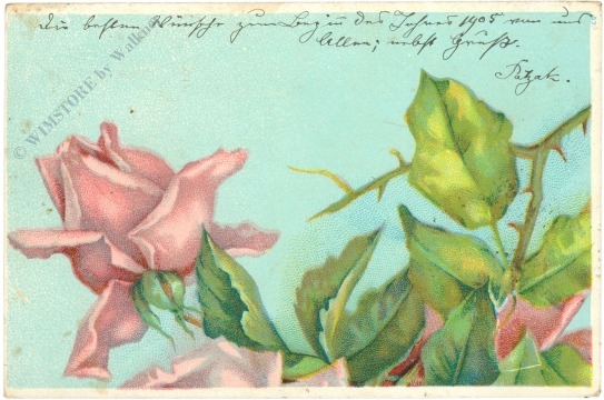 rosen