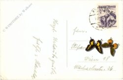 aspang am wechsel, m.d. hochwechsel