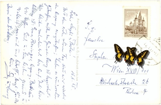 aspang am wechsel, ortsansicht